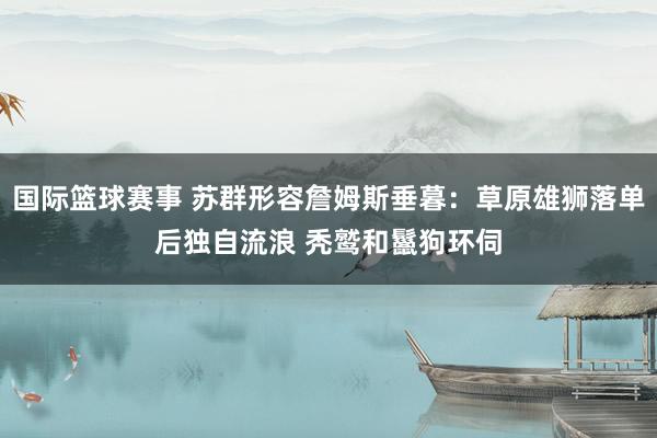 国际篮球赛事 苏群形容詹姆斯垂暮：草原雄狮落单后独自流浪 秃鹫和鬣狗环伺